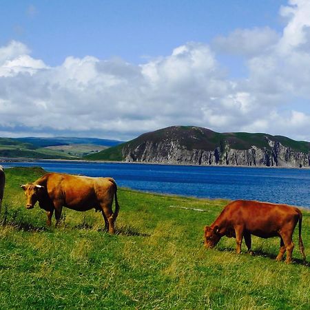 Rural Farmhouse On Kintyre, West Coast Hidden Gem Kildalloig Bagian luar foto