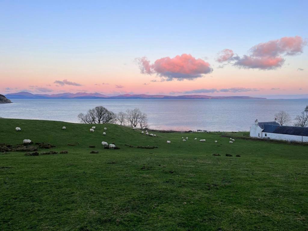 Rural Farmhouse On Kintyre, West Coast Hidden Gem Kildalloig Bagian luar foto